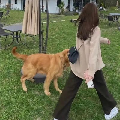 十个小印第安人