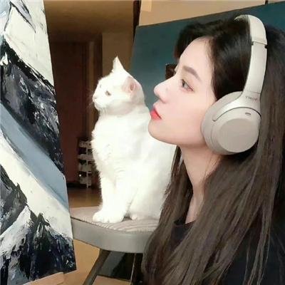 向往的生活老友记